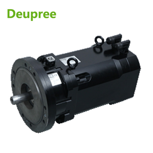 Servo drive motor